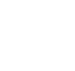 leveilleur