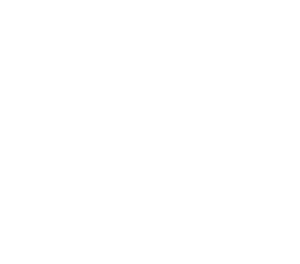 vitrexpert